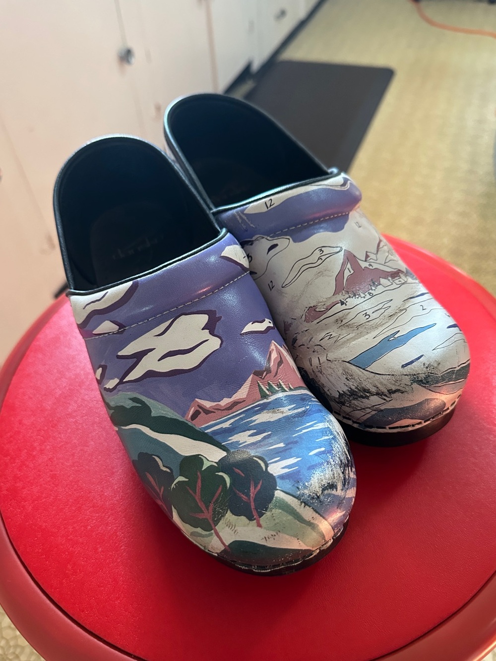 Dansko twin pro paint by number clogs size 39